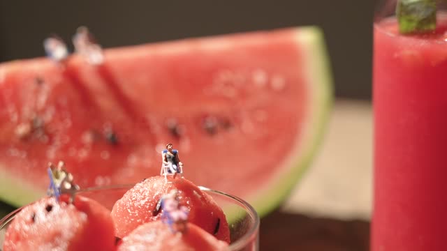 음료 오브제 수박 위에 놓인 미니어처와 흔들리는 수박 모습 동영상 (JKR230251) - 게티이미지뱅크