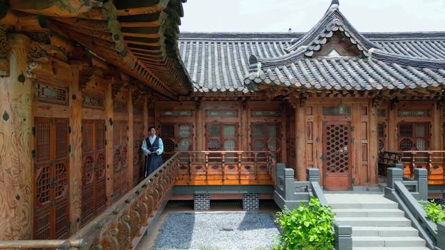 Traditional Hanbok (korean traditional clothes) model - Walking on ...