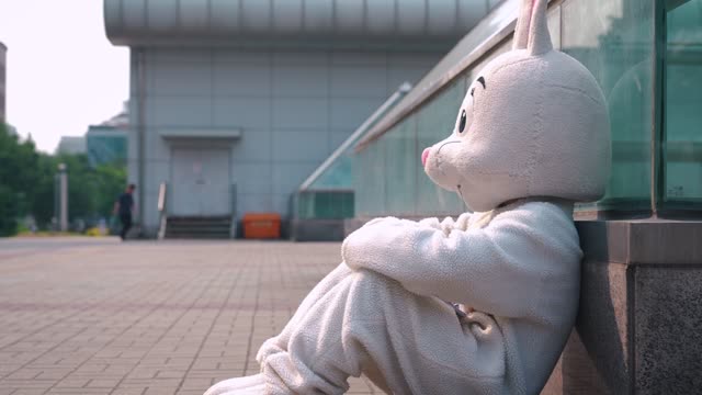 Devastated rabbit mascot performer sitting on ground / South Korea 동영상 ...